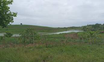 Imagem 6: 22,5 Hectares de terra em Sapé, ótimo para criação de gado Sapé - PB