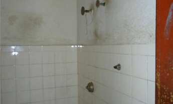 Imagem 7: Salão à venda, 60 m² por R$ 160.000,00 - Centro - Campinas/SP