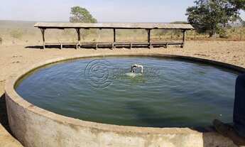 Imagem 5: Fazenda à venda no bairro Área Rural de Mineiros - Mineiros/GO