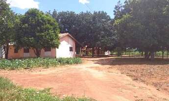 Imagem 2: CAIUA - Fazenda - ESTRADA DA ALEGRIA