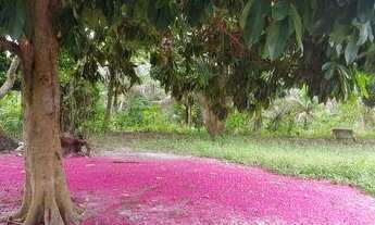 Imagem 7: Fazenda/Sítio/ para venda possui 22HA (220.000M2) metros quadrados em Mata Redonda - Alhan