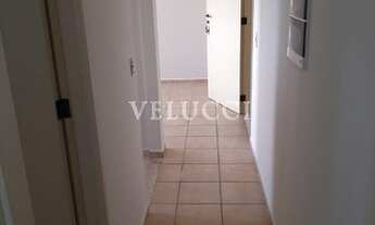 Imagem 5: Apartamento - Jardim Cura D'Ars - Campinas