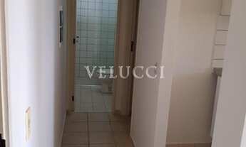 Imagem 6: Apartamento - Jardim Cura D'Ars - Campinas