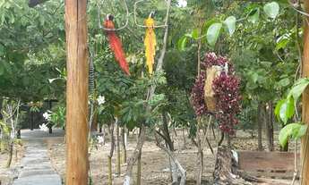 Imagem 6: Fazenda/Sítio/Chácara para venda tem 250 metros quadrados com 4 quartos