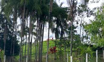 Imagem 2: Chácara 12 alqueires