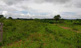 Imagem 2: Chacara em Mairipotaba com represa a 80 km de Goiânia chacaras 2 hectares aceito carro