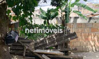 Imagem 7: Venda Lote-Área-Terreno Industrial São Luiz Contagem