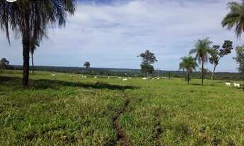 Imagem: FAZENDA À VENDA EM GOIANORTE - TO - 759,88