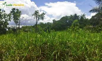 Imagem 6: FAZENDA À VENDA EM GOIANORTE - TO - 759,88 HECTARES (DUPLA APTIDÃO