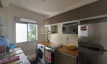 Imagem 4: Apartamento com 2 dormitórios para alugar, 40 m² por R$ 990/mês - Rondônia - Novo Hamburgo