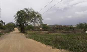 Imagem 1: Leonardo Corretor Vende: 07 Lotes 20 x 50 Vizinho a Dafote Veículos Gravatá
