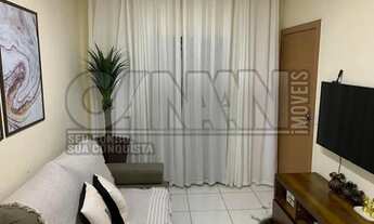 Imagem 6: IBIRITé - Padrão - Palmeiras (Parque Durval de Barros