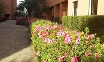 Imagem 4: Apartamento para Venda em São Paulo, Vila do Castelo, 3 dormitórios, 1 banheiro, 1 vaga