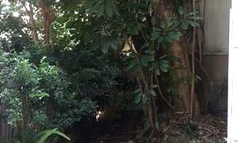 Imagem 5: Casa Sobrado em frente uma praça