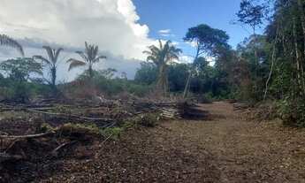 Imagem 7: Terreno Plano para Sítio no Km 26 da AM 070 (Manoel Urbano) Possui 1200m²