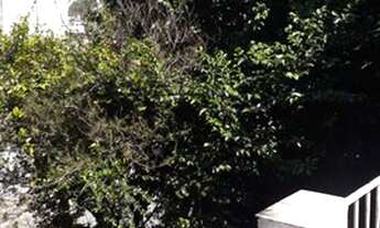 Imagem 4: Casa Sobrado em frente uma praça