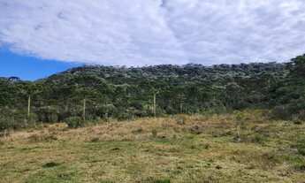 Imagem 5: Chácara com 2 hectares em Urupema