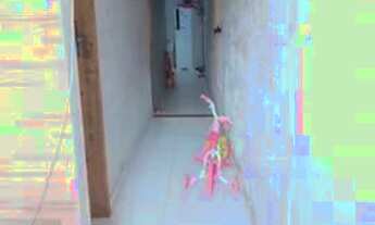 Imagem 2: Casa na pedreira