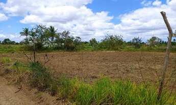 Imagem 7: Terreno em sapé itaporanga d'ajuda