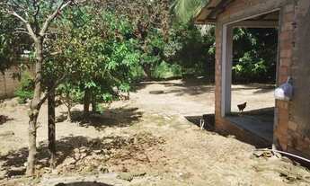 Imagem 3: Aluga-se chácara