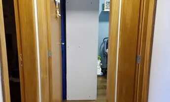 Imagem 5: IBIRITé - Padrão - Palmeiras