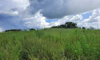 Imagem 5: Fazenda para venda em brumadinho divisa com Bonfim