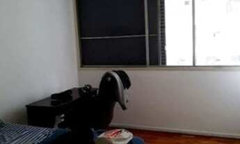 Imagem 5: Apartamento para Venda com 110m² - Cerqueira Cesar - São Paulo