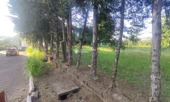 Imagem 4: LAJEADO - Terreno Padrão - Moinhos DÁgua