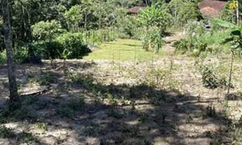 Imagem 4: Chácara por apenas R$300.000,00