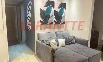 Imagem 3: Lindo apartamento em Vila Galvão