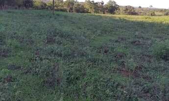 Imagem 3: Fazenda 44 alqueires em Sta Rita do Oeste- com cana e pasto