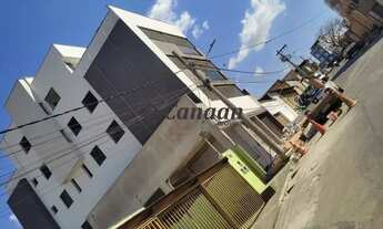 Imagem 5: IBIRITé - Padrão - Palmeiras