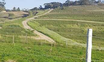 Imagem 2: Lote/Terreno para venda possui 600 metros quadrados em Gramado - Cotia - SP