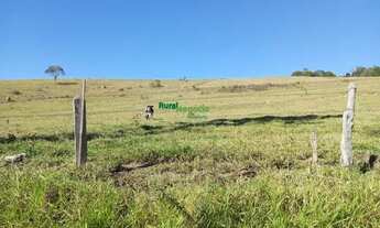 Imagem: CHÁCARA DE 2.000 MTS COM BOA TOPOGRAFIA