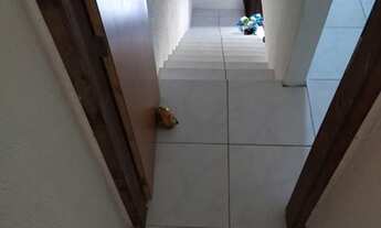 Imagem 5: Porto de galinhas