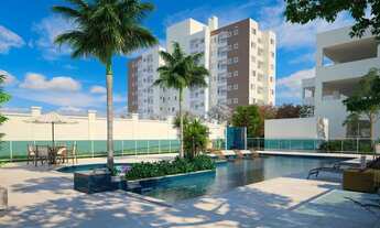 Imagem 6: Vista dos Cedros