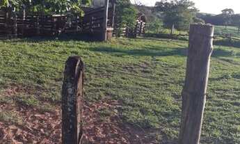 Imagem 6: Fazenda 44 alqueires em Sta Rita do Oeste- com cana e pasto