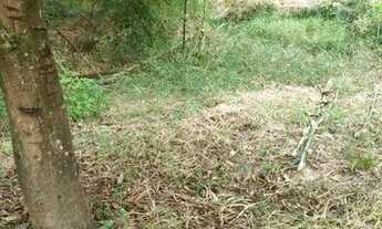 Imagem 7: Venda ou troca Chácara com venda por R$80.000