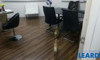 Imagem 7: COMERCIAL - TATUAPÉ - SP