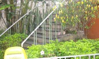 Imagem 4: SÃO PAULO - Casa Padrão - VILA MONUMENTO