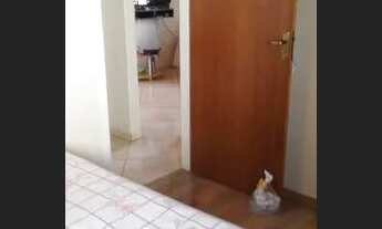 Imagem 6: Vendo Casa em Brazopolis - MG