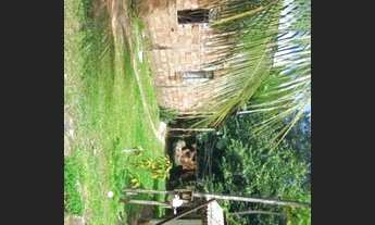 Imagem 3: Vendo terreno com dois quartos nós fundos