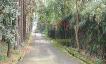 Imagem 2: Imóvel comercial para industrias