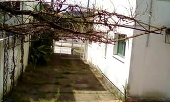 Imagem 5: Imóvel comercial para aluguel com 325 metros quadrados em Glória - Porto Alegre - RS