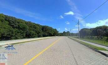 Imagem 4: Terreno à venda, 600 m² por R$ 769.000,00 - São João do Rio Vermelho - Florianópolis/SC