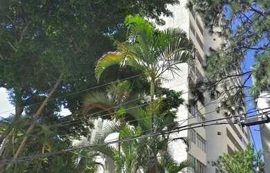 Imagem 14: Venda Apartamento 2 Dormitórios - 65 m² Pompéia