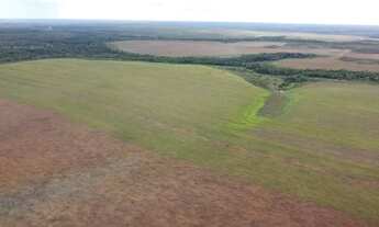 Imagem 2: Fazenda a venda, com dívida Bancária, no Tocantins!!
