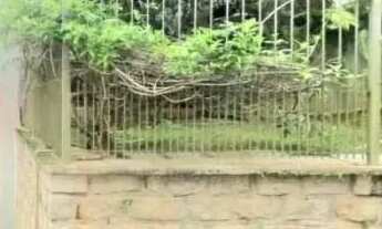 Imagem: Casa com 5 dormitórios no bairro Carvoeira