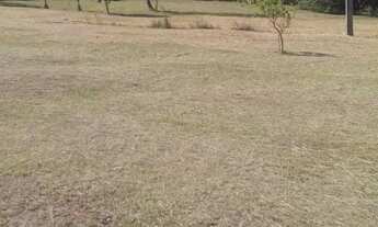 Imagem 4: CHÁCARA 3 HECTARES - OPORTUNIDADE