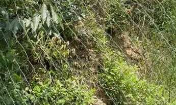 Imagem 3: Vendo terreno próximo ao mercado condor em Almirante Tamandaré